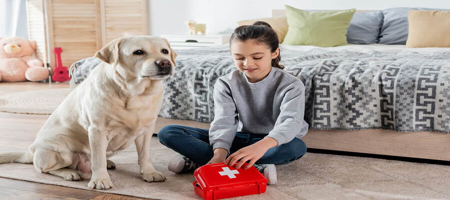 What You Need in Your Dog’s First Aid Kit